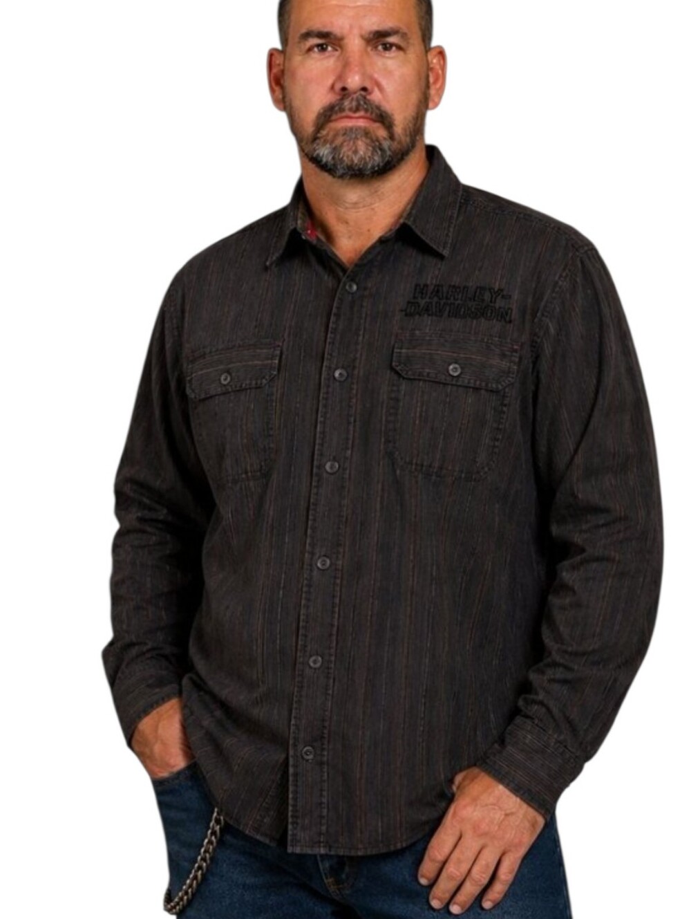 Harley-Davidson Brown Stripe Button-Up Shirt Long Sleeve 3XL Wing Graphic Cotton